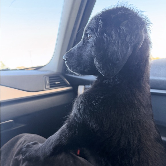 ✨Meet me✨ - Picture 5 of 5